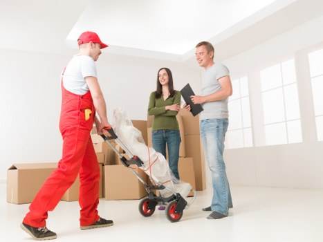 Professional removals van service for Knightsbridge homes
